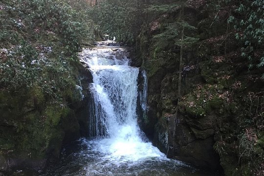 Tour image 7