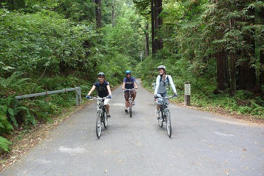 Tour image 3