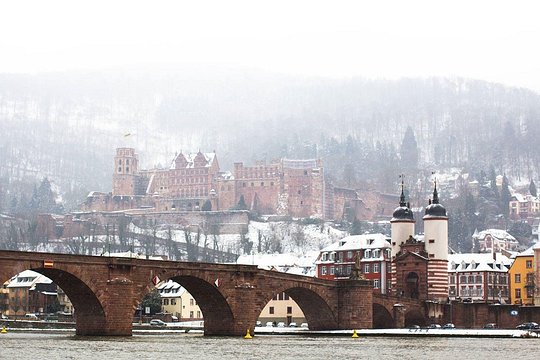 Tour image 10