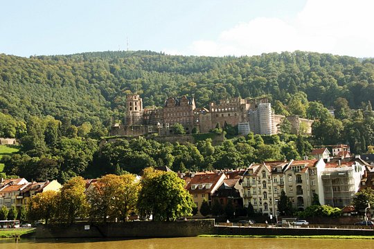 Tour image 12