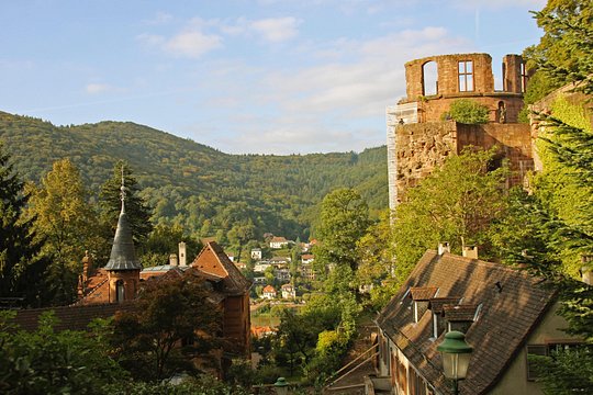 Tour image 14
