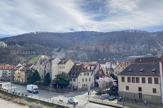 Tour image 6