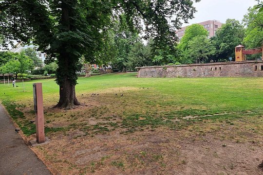 Tour image 9