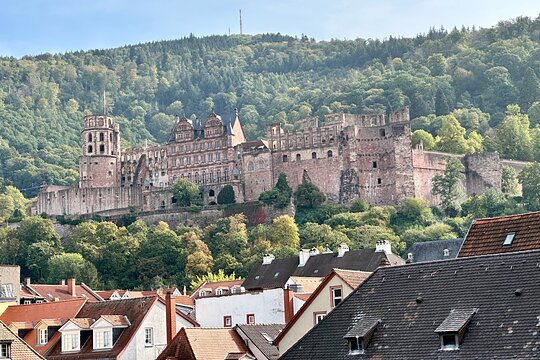 Tour image 14